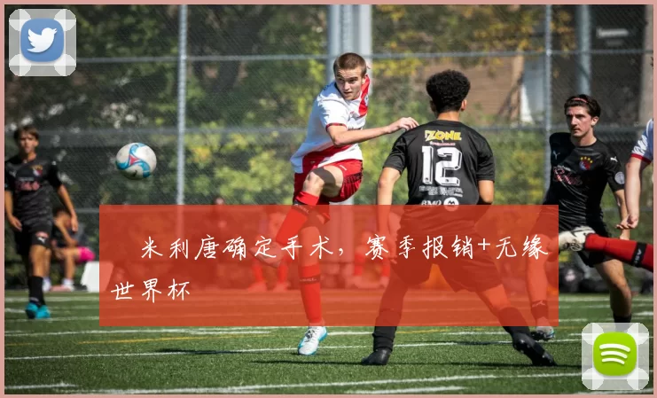 ​米利唐确定手术，赛季报销+无缘世界杯