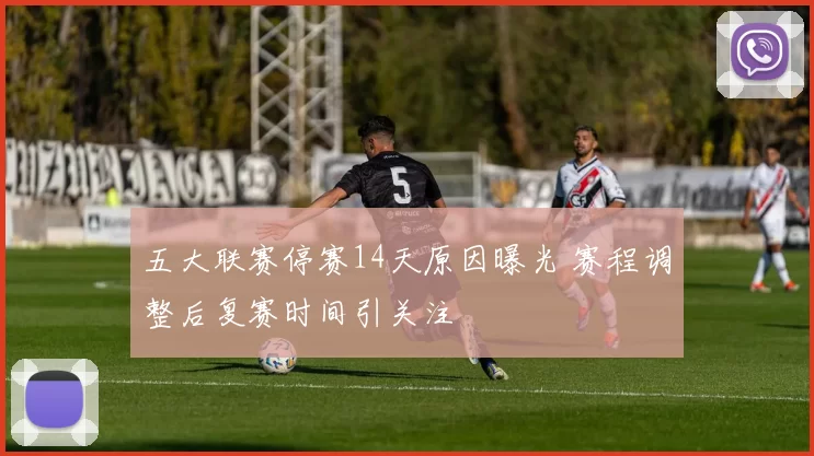 五大联赛停赛14天原因曝光 赛程调整后复赛时间引关注