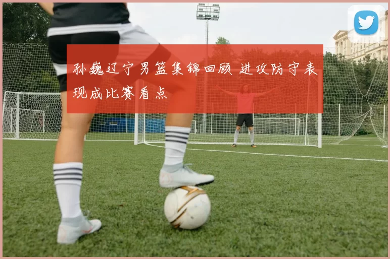 孙巍辽宁男篮集锦回顾 进攻防守表现成比赛看点