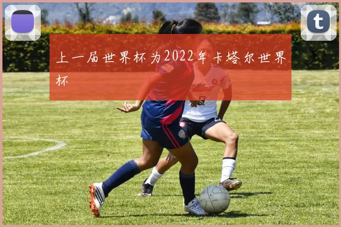 上一届世界杯为2022年卡塔尔世界杯