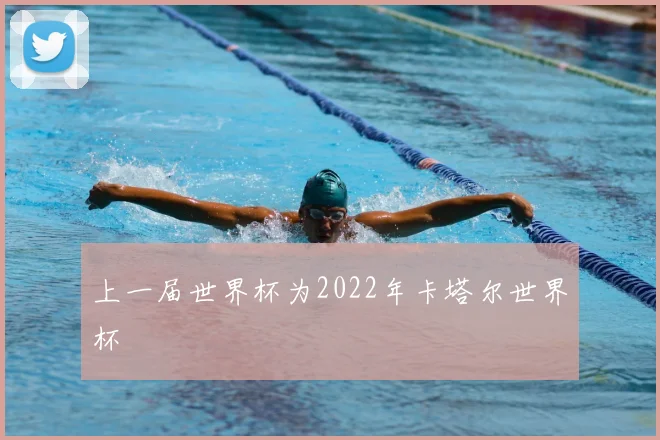 上一届世界杯为2022年卡塔尔世界杯