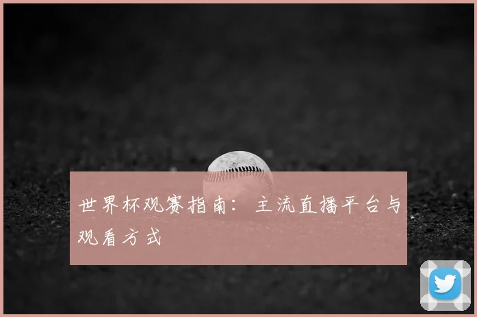 世界杯观赛指南:主流直播平台与观看方式