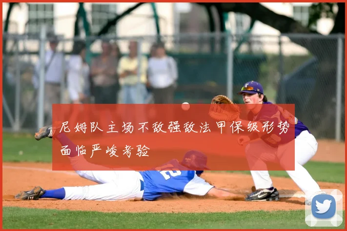 尼姆队主场不敌强敌法甲保级形势面临严峻考验