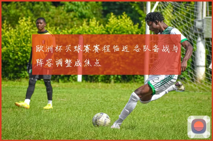 欧洲杯买球赛赛程临近 各队备战与阵容调整成焦点