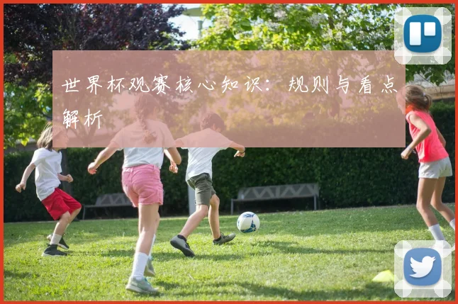 世界杯观赛核心知识:规则与看点解析