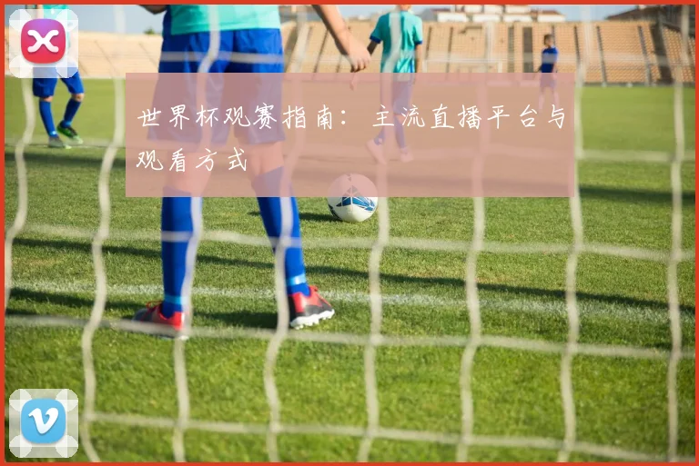 世界杯观赛指南:主流直播平台与观看方式